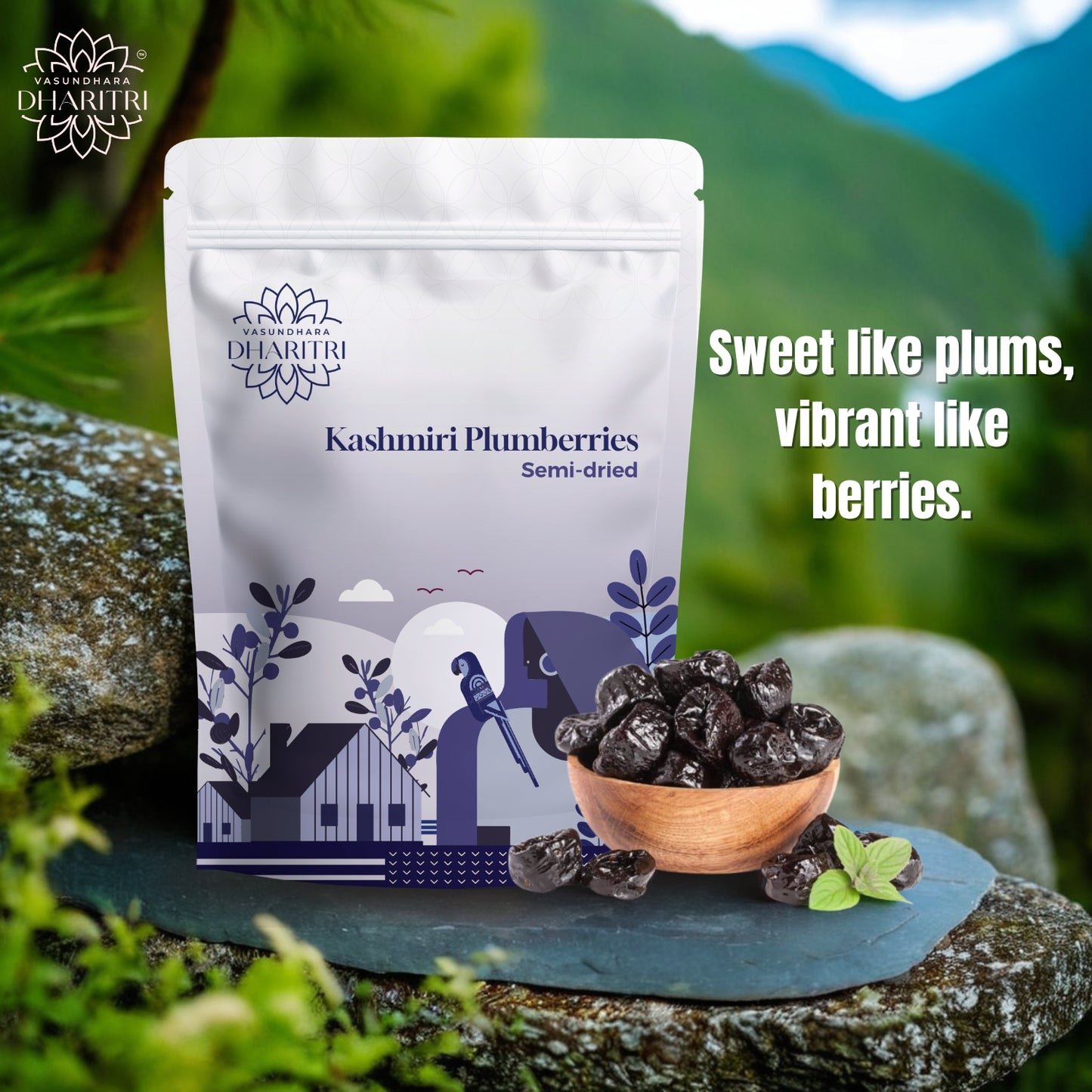 Exotic Semi-Dried Plumberries