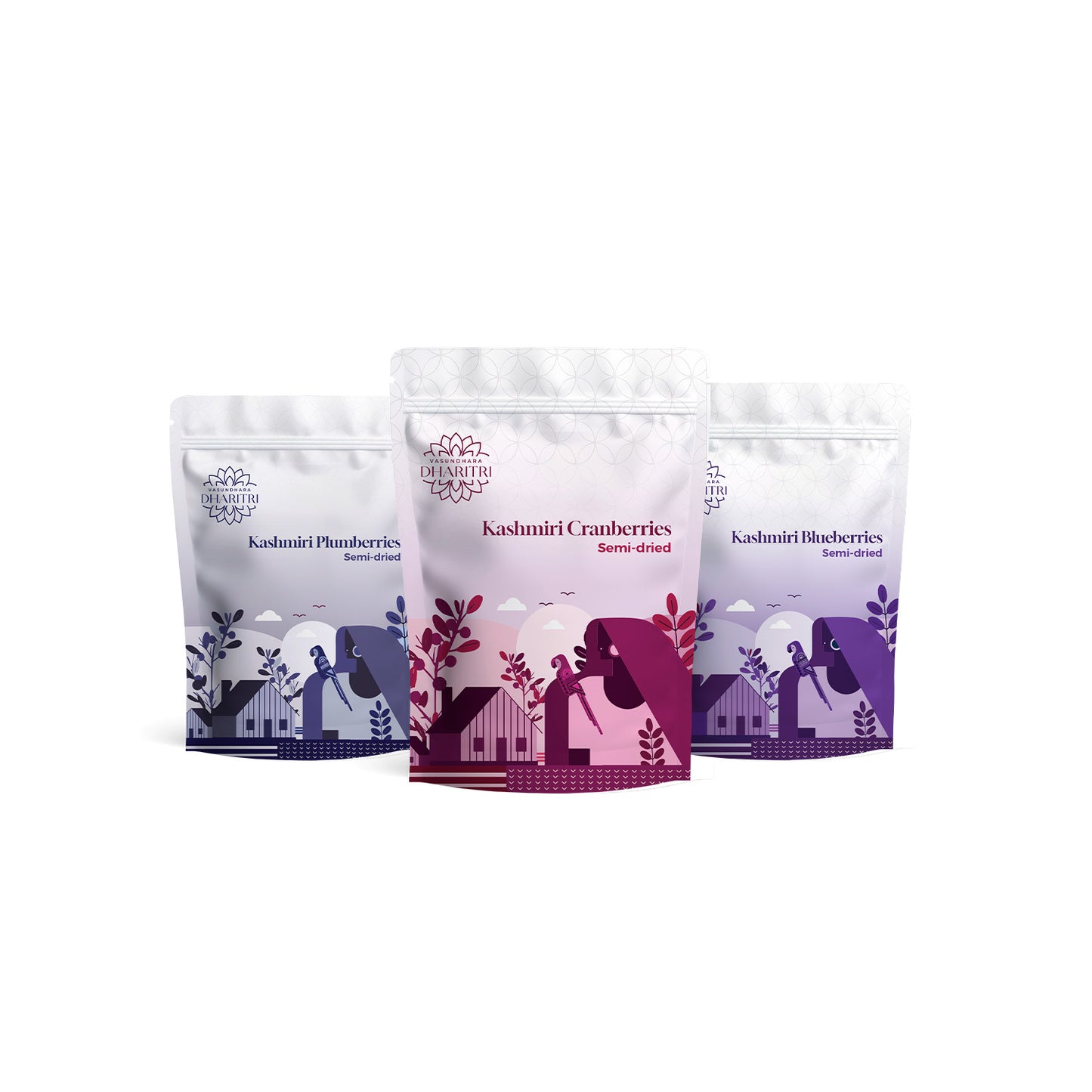 Berries Trio – Kashmiri Plumberries, Cranberries & Blueberries Combo Pack - 750g
