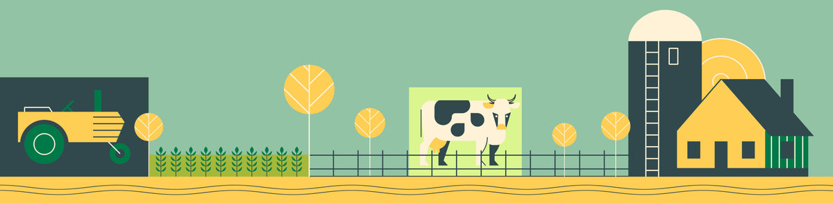 Collection Banner