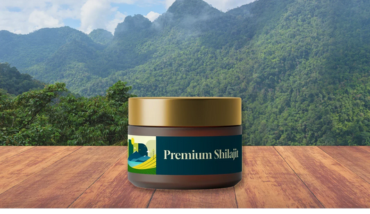 Premium Shilajit: Nature’s Legendary Energy and Wellness Booster