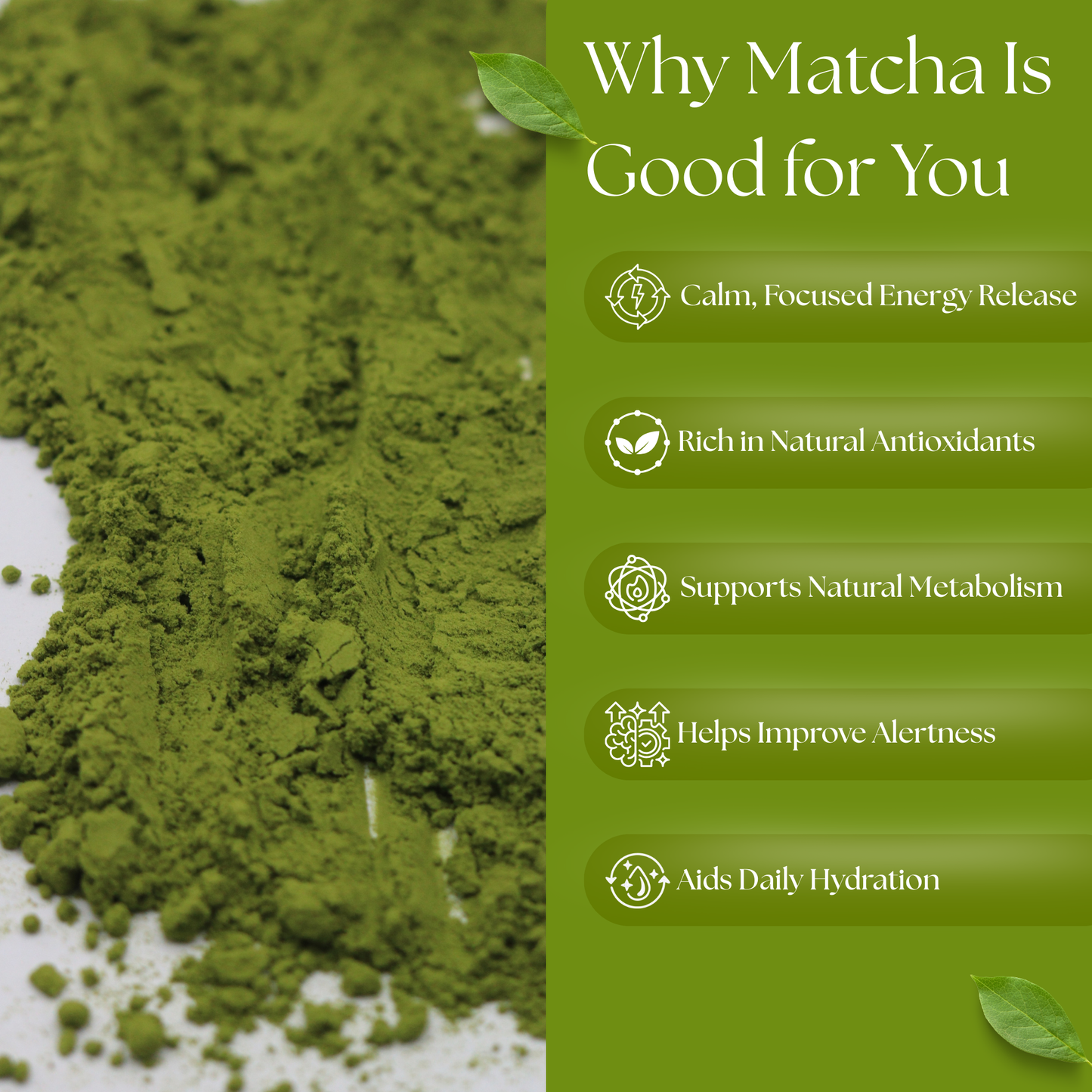 Health benefits of Dharitri Matcha Tea infographic