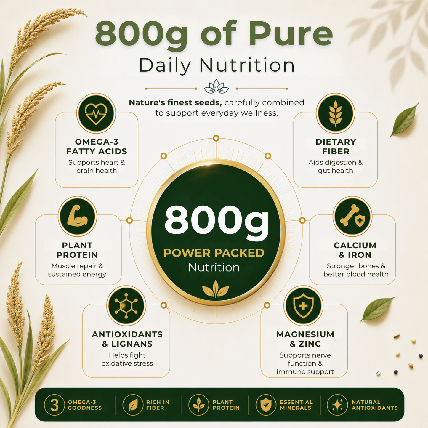 8-in-1 Seeds Combo Pack – 100g Each (Total 800g)