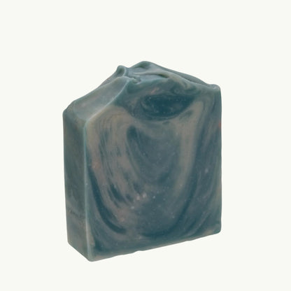 Dharitri Tarangini Series - Artisanal Soap, Aloe Vera & Coconut Milk