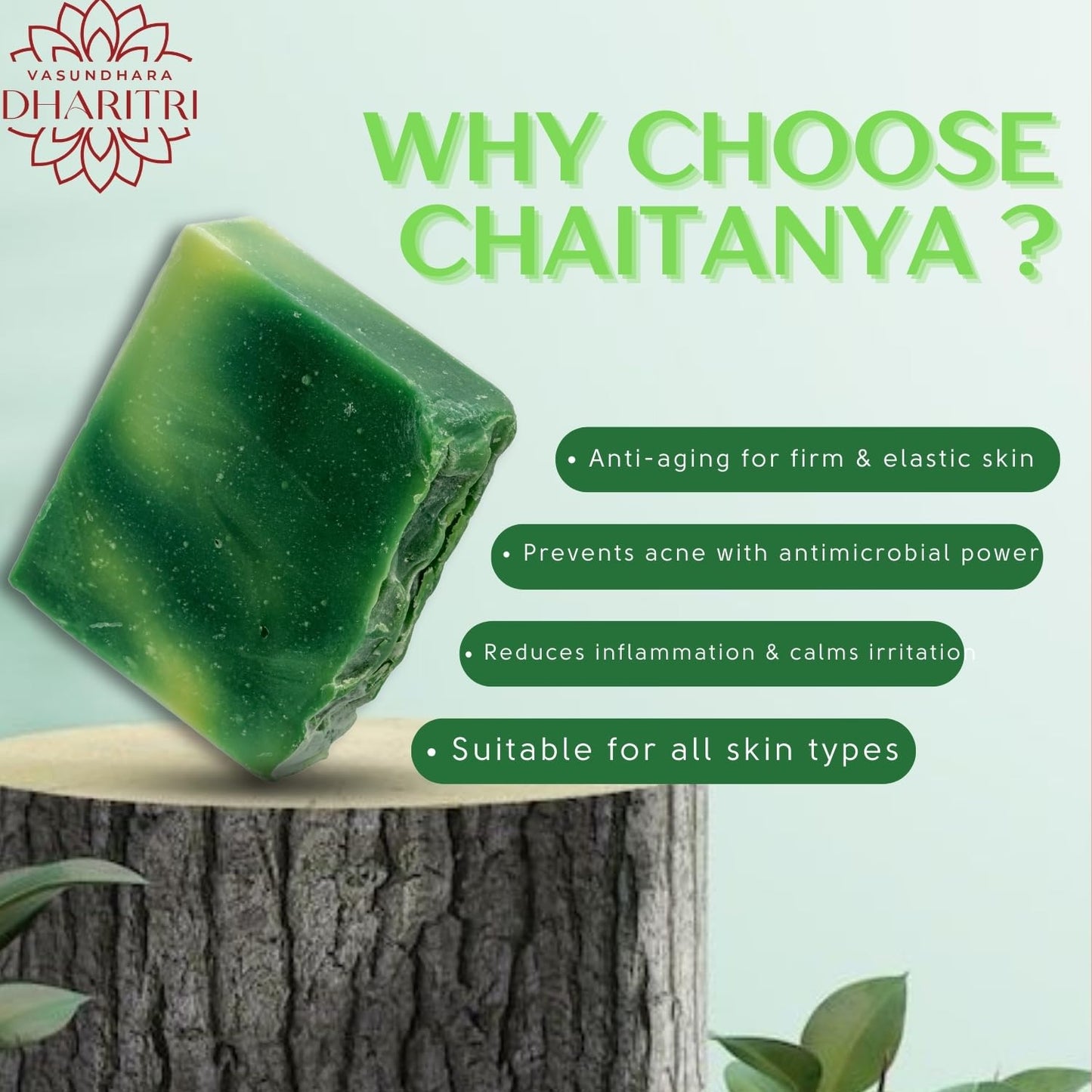Dharitri Chaitanya Aloe Vera and Tee Tree Luxury Bath Soap