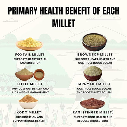 Healthy Millet Grains Combo Pack of 6 x 500g Each