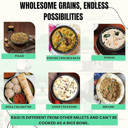 Healthy Millet Grains Combo Pack of 6 x 500g Each