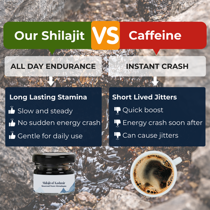 Premium Shilajit Resin of Kashmir 30g