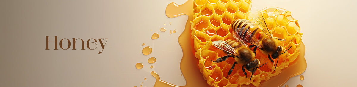 Collection Banner