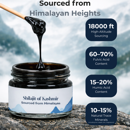 Premium Shilajit Resin of Kashmir 30g