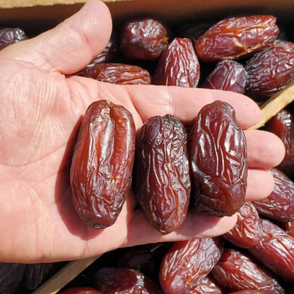 Dharitri Super Jumbo Medjool Dates