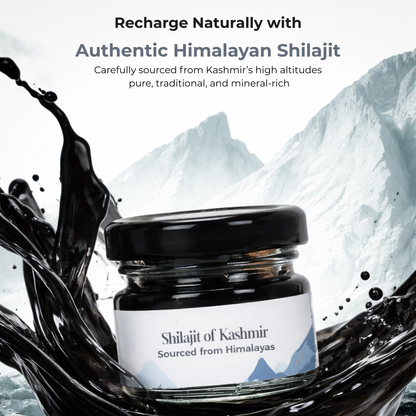 Premium Shilajit Resin of Kashmir 30g