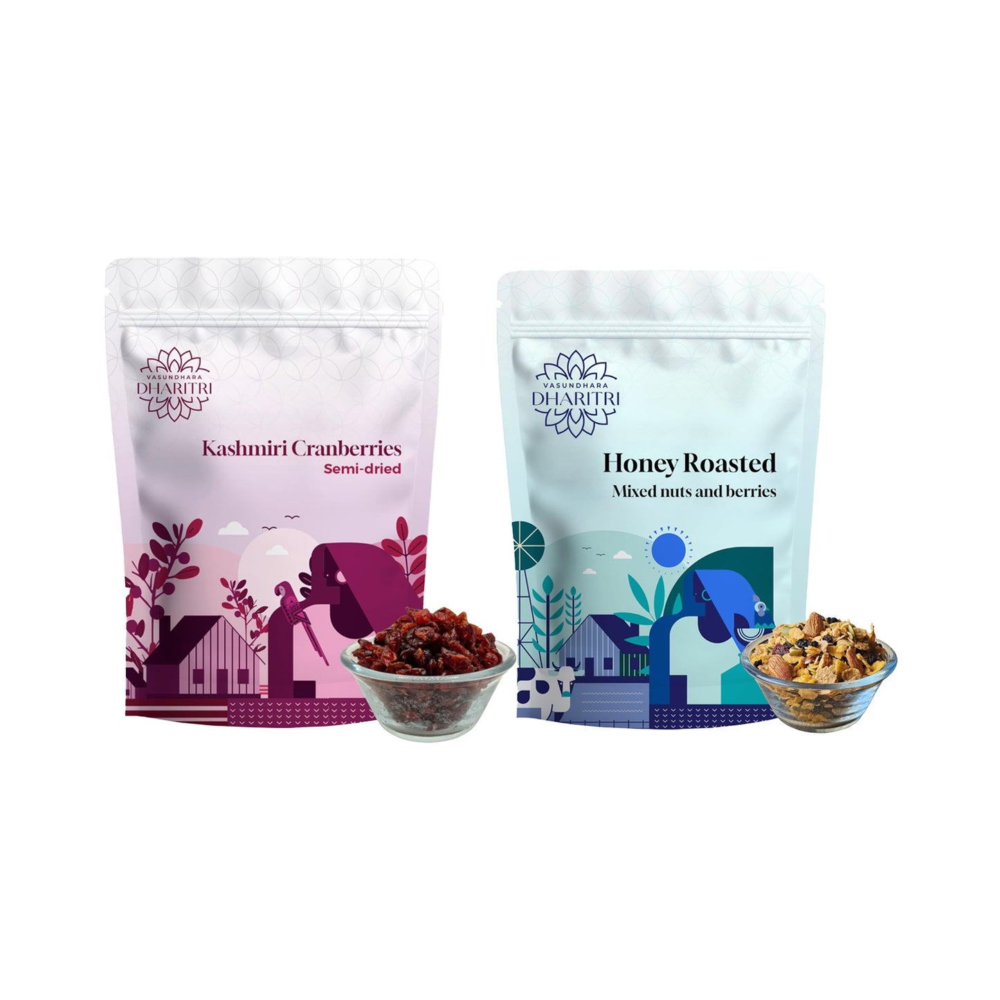 Trail Mix & Kashmiri Berries Snack Combo