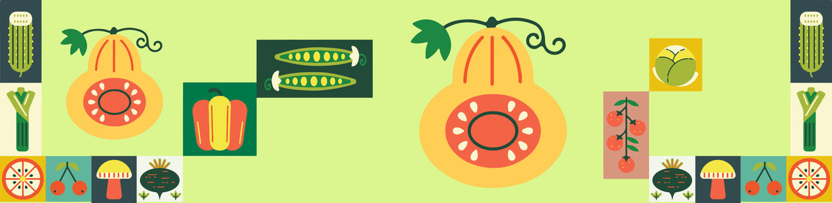 Collection Banner
